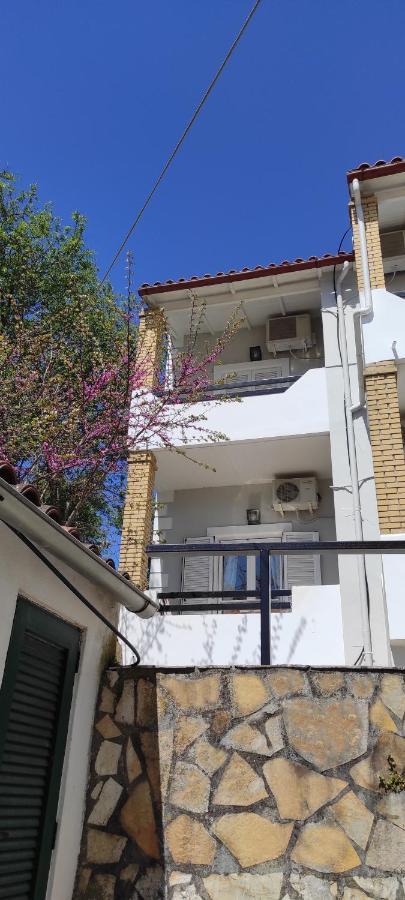 Boho - Near Restaurants, Bus And Beaches Appartement *